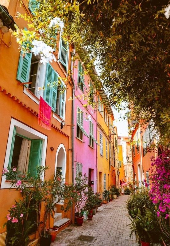 rue colorée et verdoyante